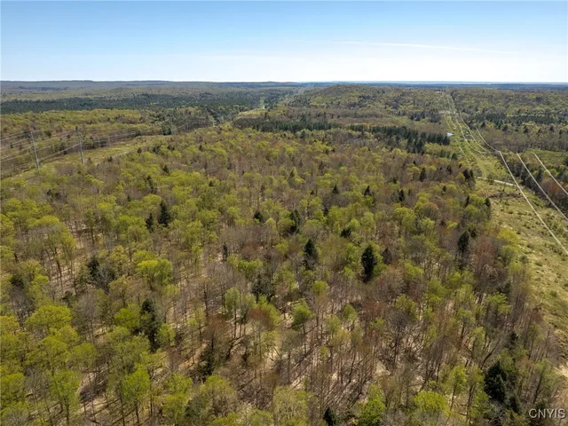 $155,000 | 13630 Middle Branch Road, Diana, NY 13648