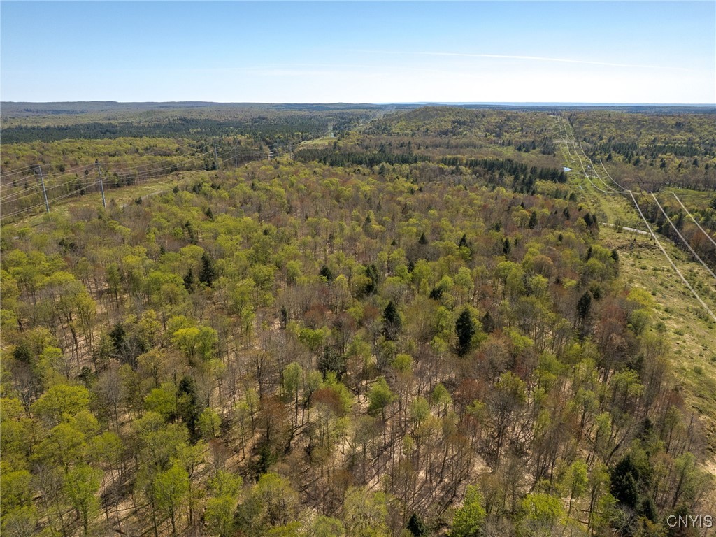 13630 Middle Branch Road Diana, NY 13648 - Photo 11 of 19