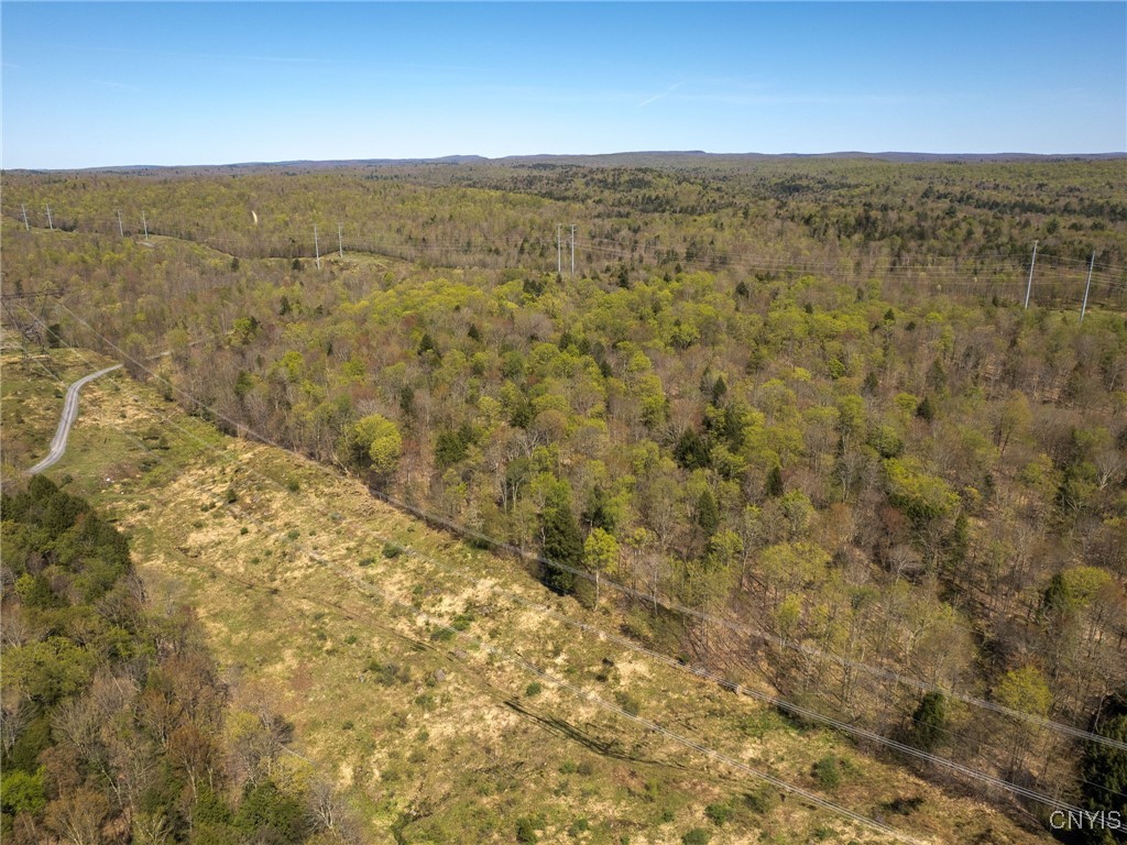 13630 Middle Branch Road Diana, NY 13648 - Photo 12 of 19