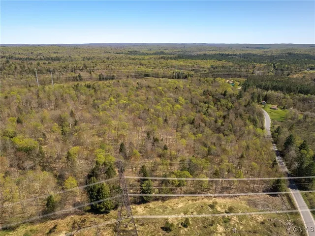 $155,000 | 13630 Middle Branch Road, Diana, NY 13648