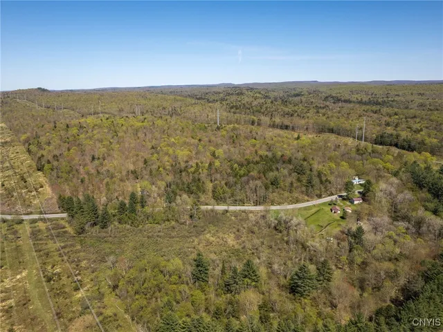 $155,000 | 13630 Middle Branch Road, Diana, NY 13648