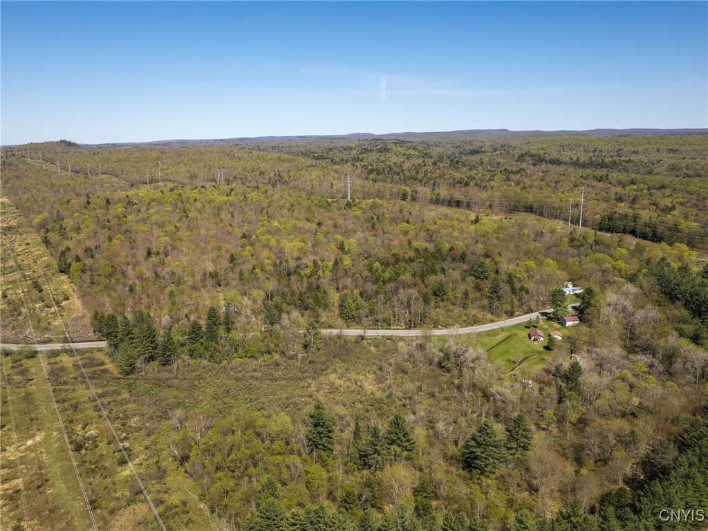 13630 Middle Branch Road Diana, NY 13648 - Photo 14 of 19