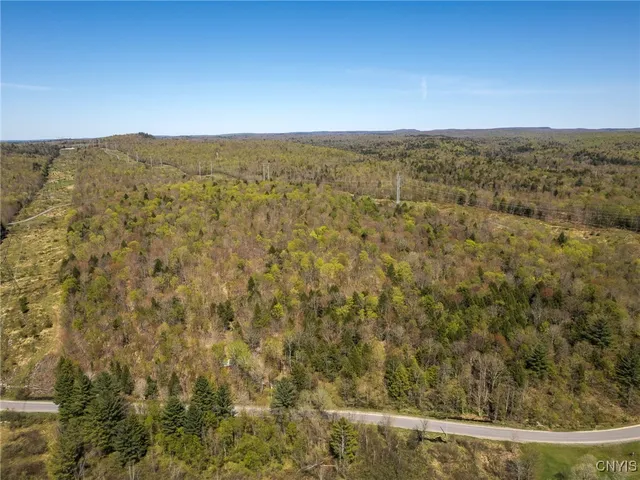 $155,000 | 13630 Middle Branch Road, Diana, NY 13648