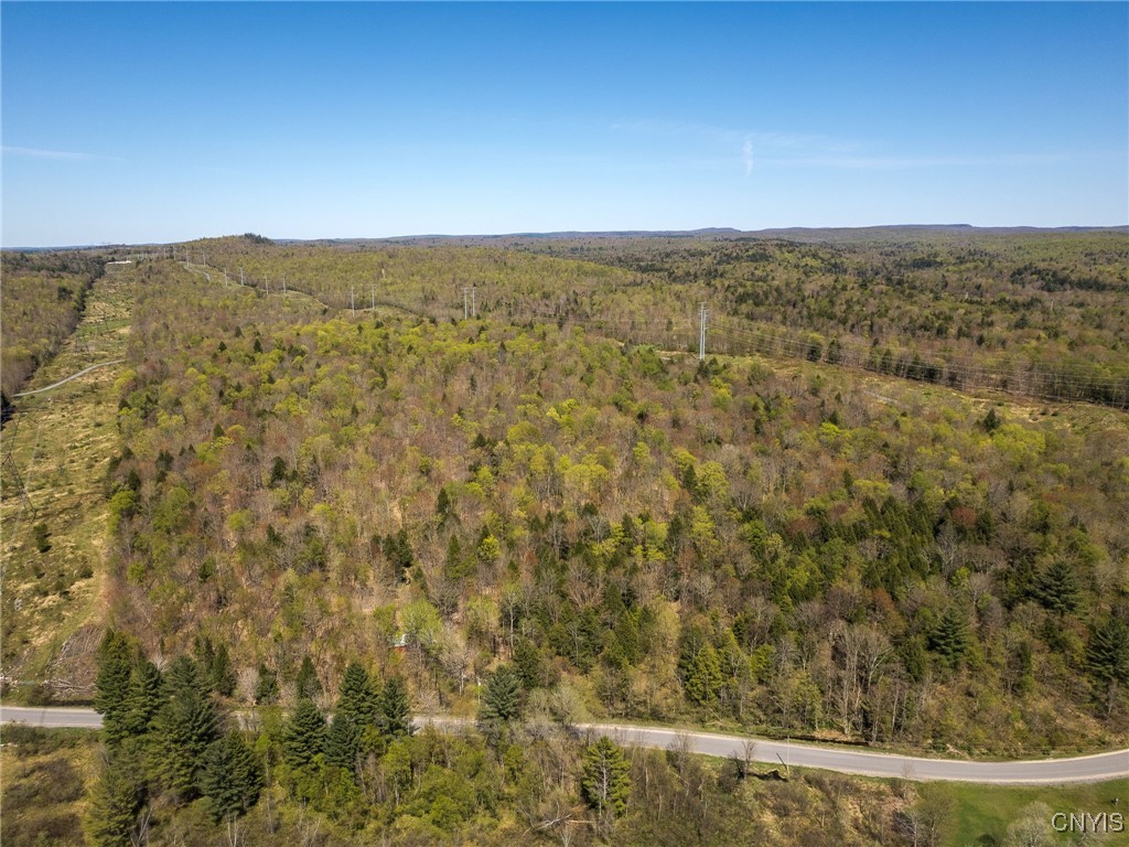 13630 Middle Branch Road Diana, NY 13648 - Photo 15 of 19