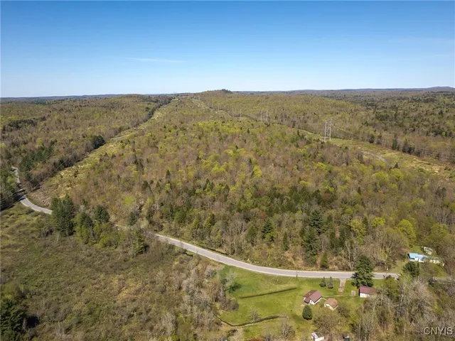 $155,000 | 13630 Middle Branch Road, Diana, NY 13648