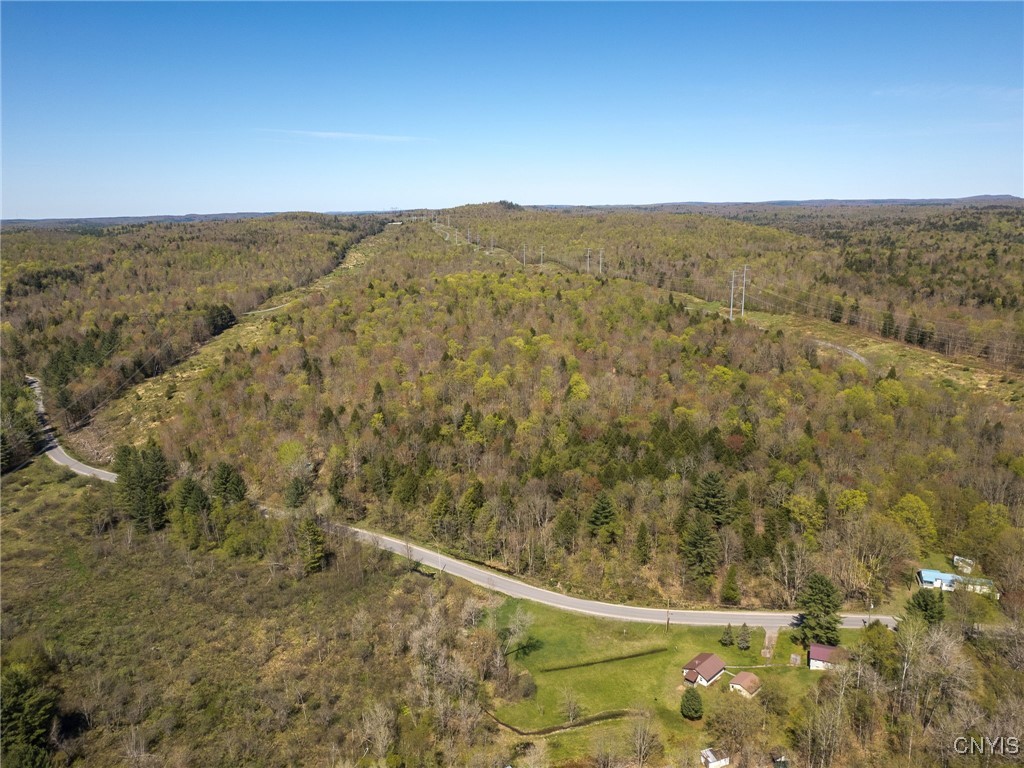 13630 Middle Branch Road Diana, NY 13648 - Photo 16 of 19