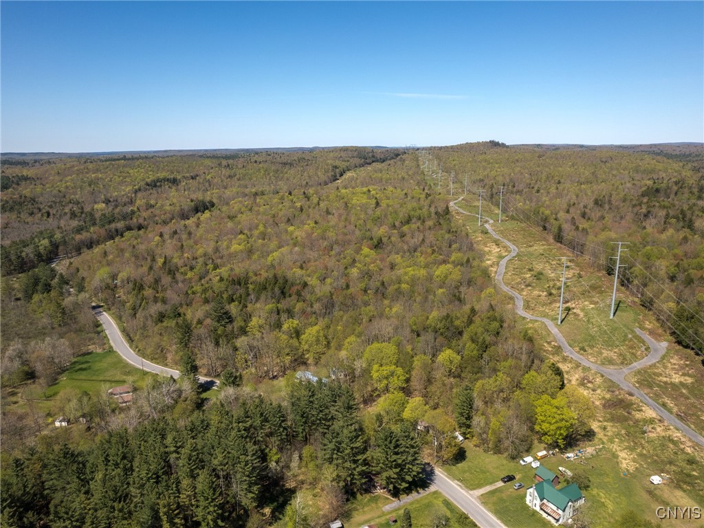 13630 Middle Branch Road Diana, NY 13648 - Photo 17 of 19