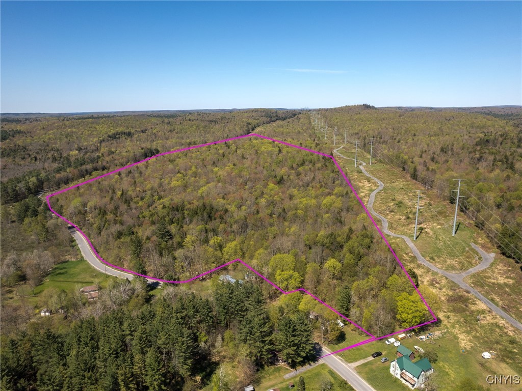 13630 Middle Branch Road Diana, NY 13648 - Photo 18 of 19