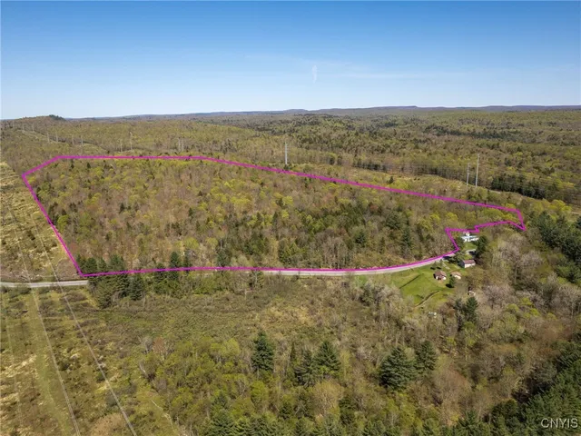 $155,000 | 13630 Middle Branch Road, Diana, NY 13648