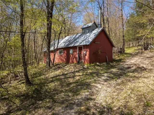 $155,000 | 13630 Middle Branch Road, Diana, NY 13648