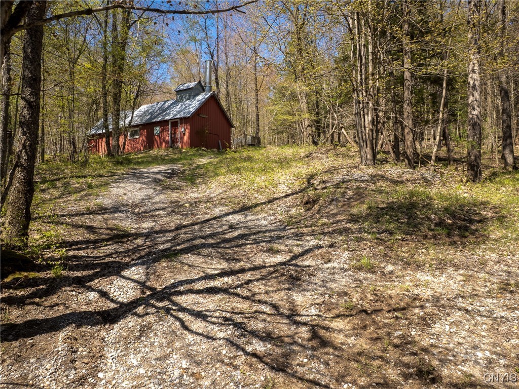 13630 Middle Branch Road Diana, NY 13648 - Photo 5 of 19