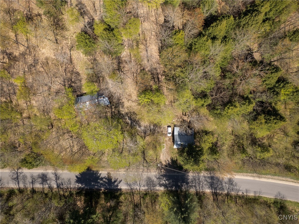 13630 Middle Branch Road Diana, NY 13648 - Photo 6 of 19