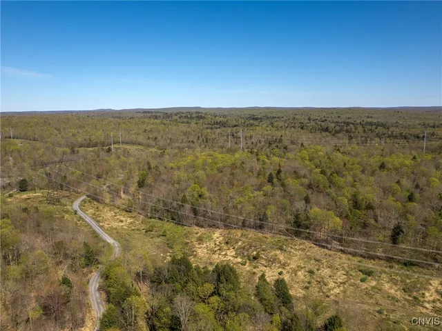 $155,000 | 13630 Middle Branch Road, Diana, NY 13648