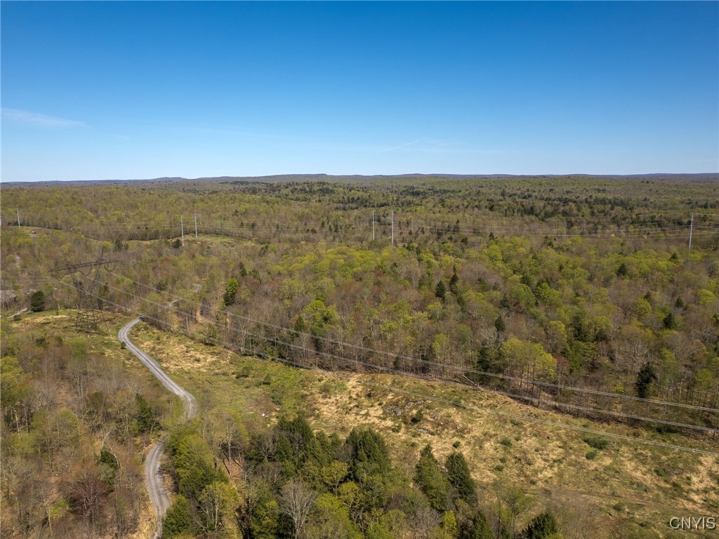 13630 Middle Branch Road Diana, NY 13648 - Photo 7 of 19