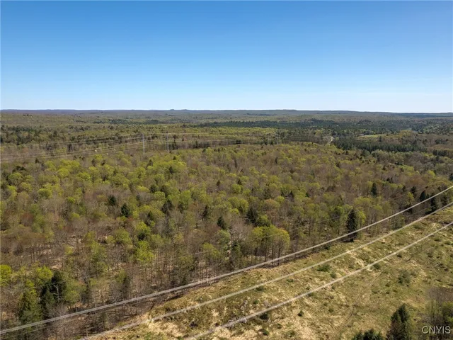 $155,000 | 13630 Middle Branch Road, Diana, NY 13648