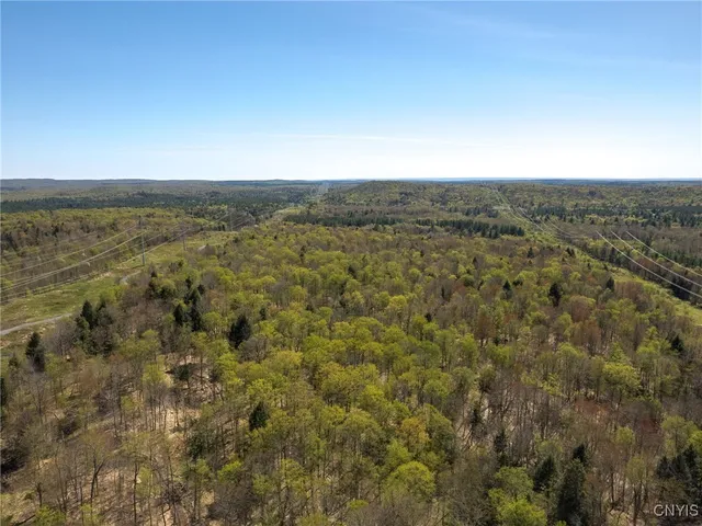 $155,000 | 13630 Middle Branch Road, Diana, NY 13648