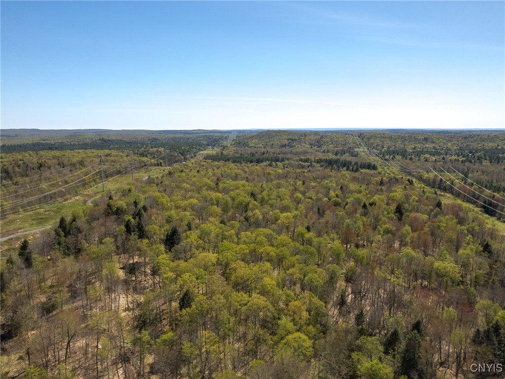 13630 Middle Branch Road Diana, NY 13648 - Photo 9 of 19