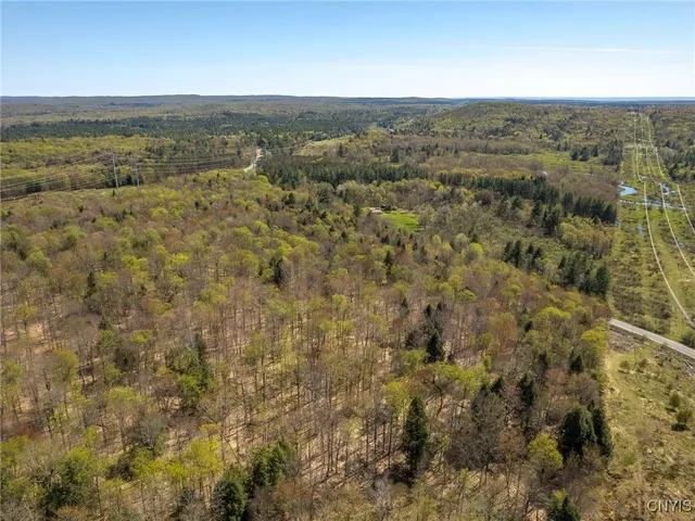 $155,000 | 13630 Middle Branch Road, Diana, NY 13648