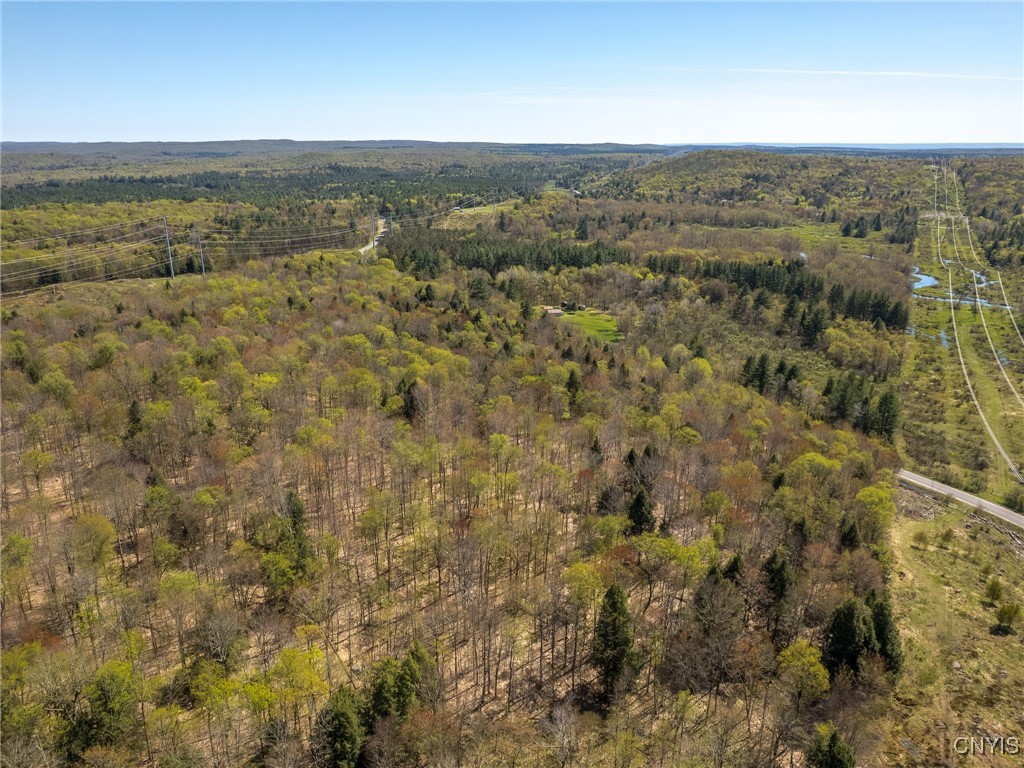 13630 Middle Branch Road Diana, NY 13648 - Photo 10 of 19