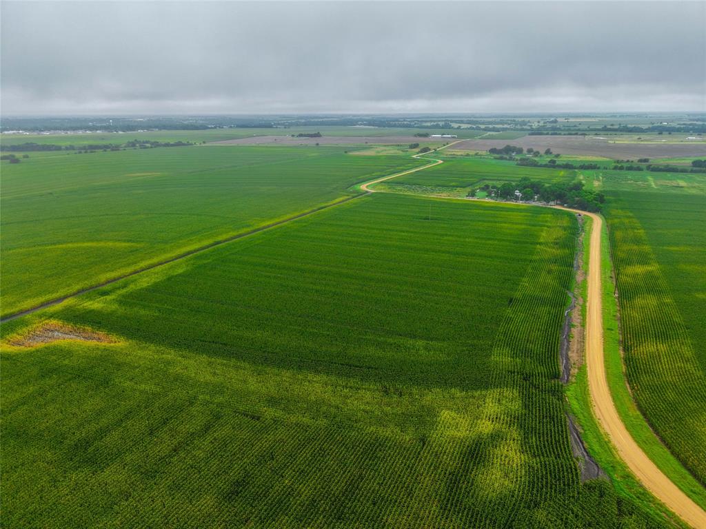 N/a Cathey Creek Road Holland, TX 76534 - Photo 19 of 23