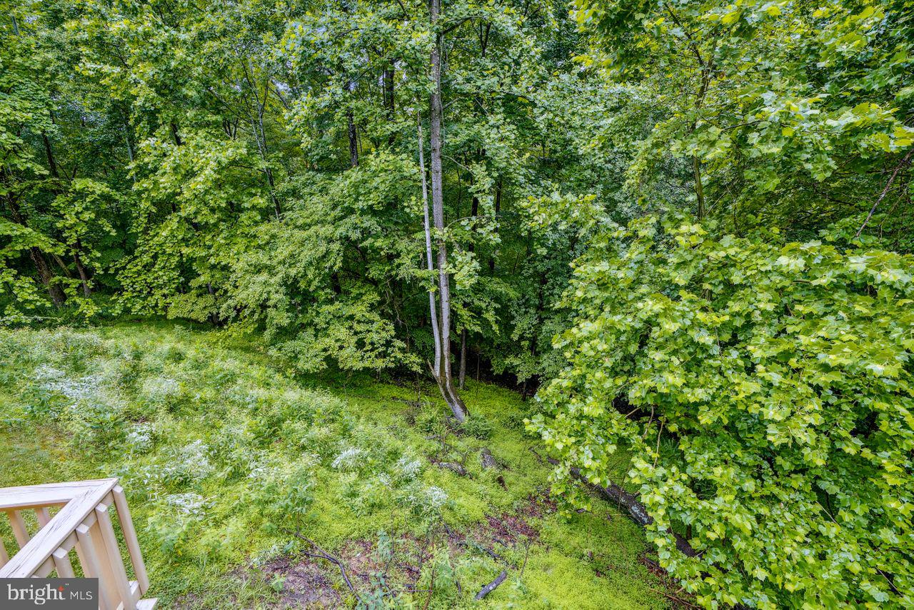 2311 Ridge Tree Court Ellicott City, MD 21042 - Photo 51 of 66 Beautiful Parkland View from Rear Deck