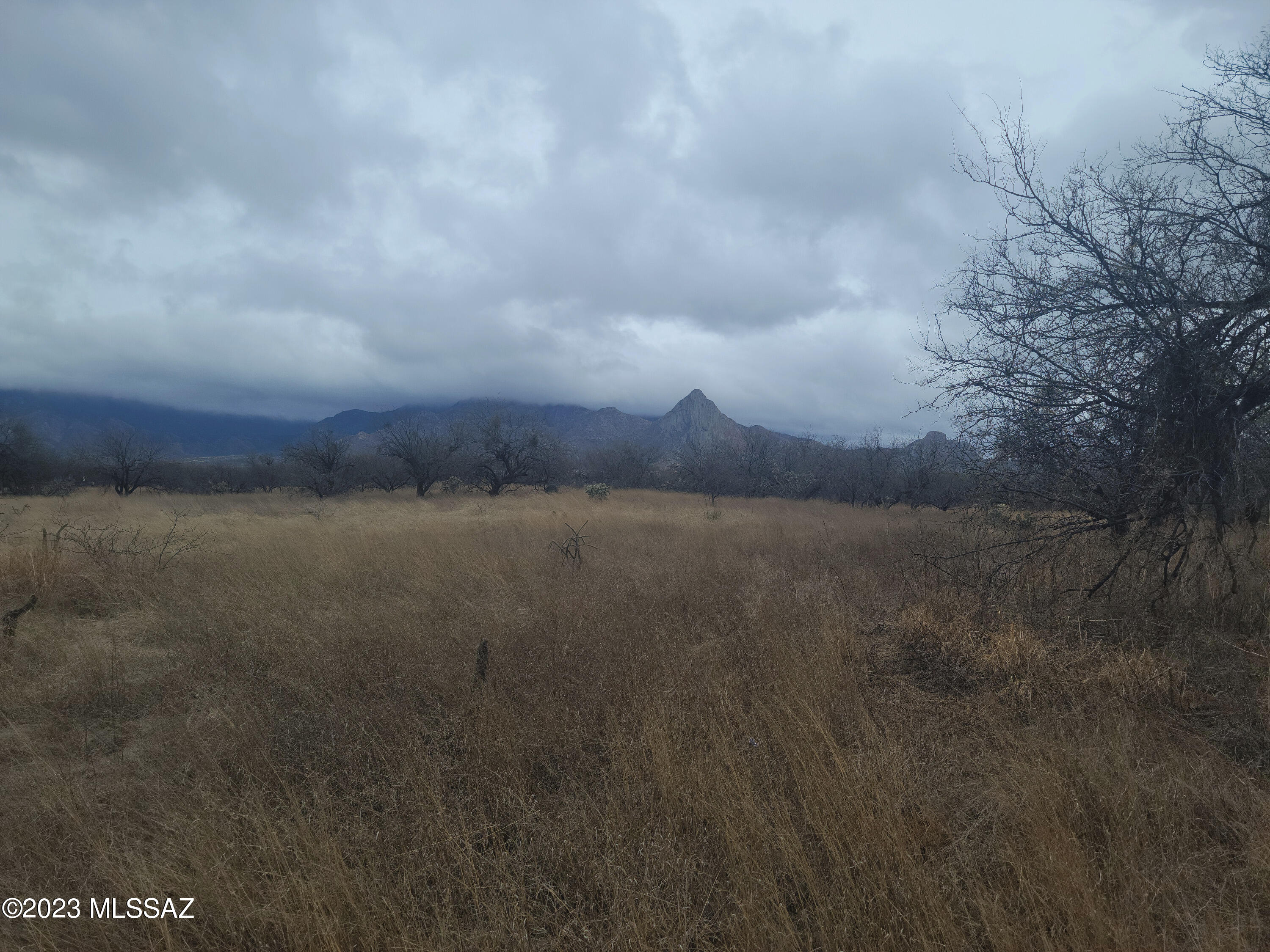 South Coopers Hawk Road Amado, AZ 85645 - Photo 2 of 6