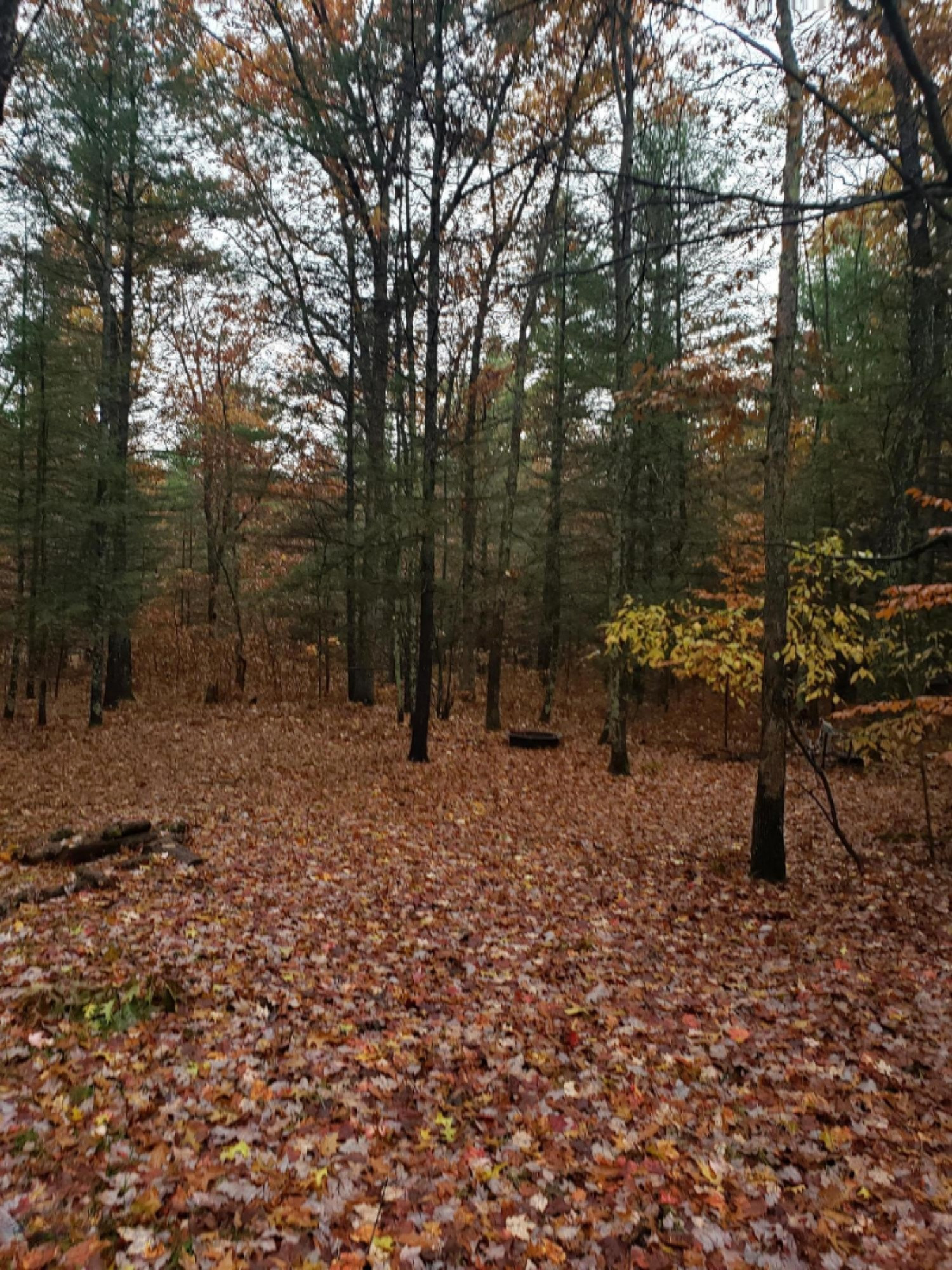 454 Seaman Road Wellston, MI 49689 - Photo 8 of 23 20191104_105119