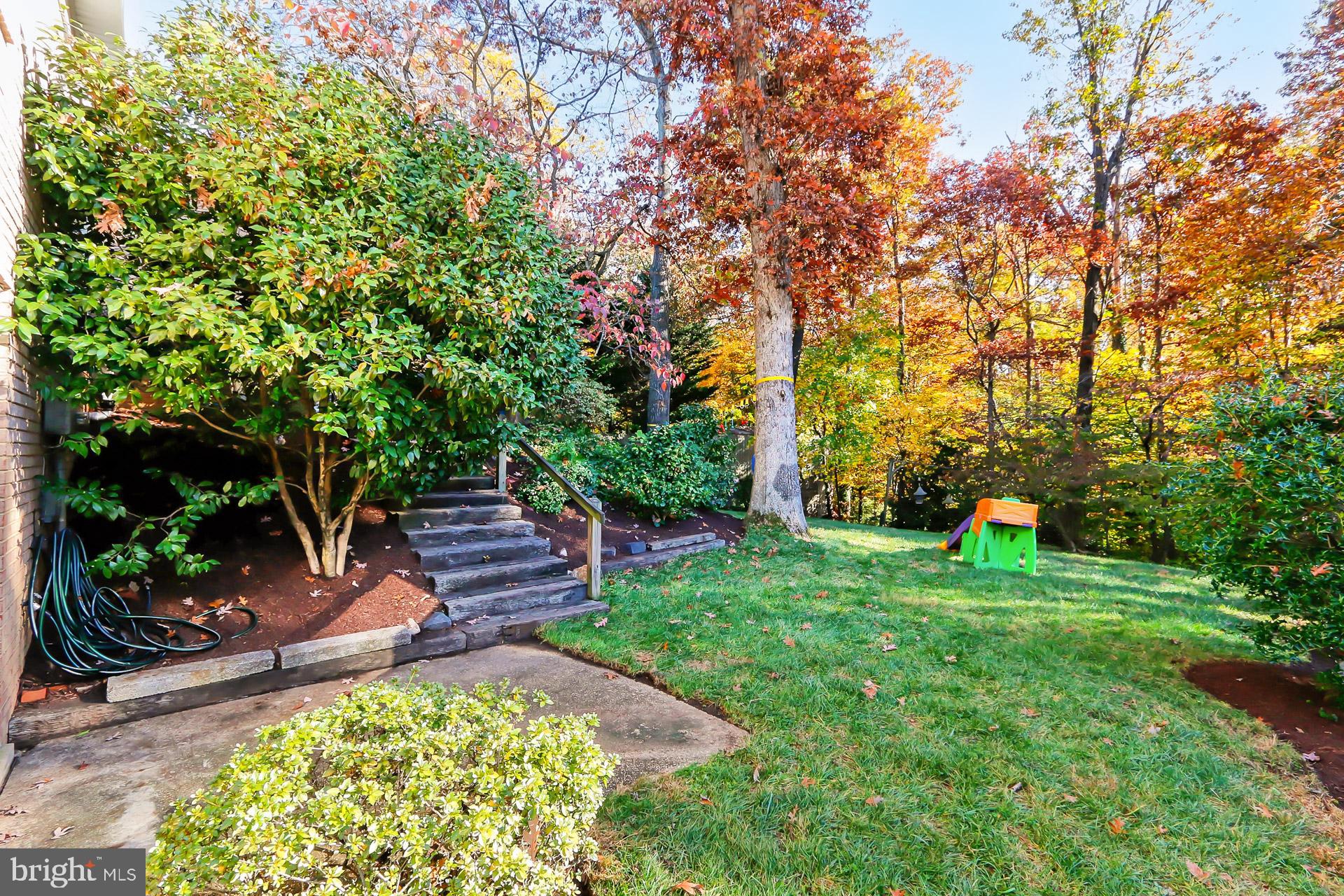 8203 Langbrook Road Springfield, VA 22152 - Photo 41 of 48 Awesome lot, perfect for all activities