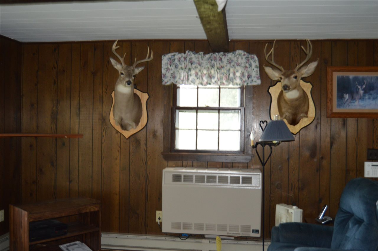 362 Moore Hill Road Newbury, VT 05051 - Photo 4 of 11 Gallery Image 4