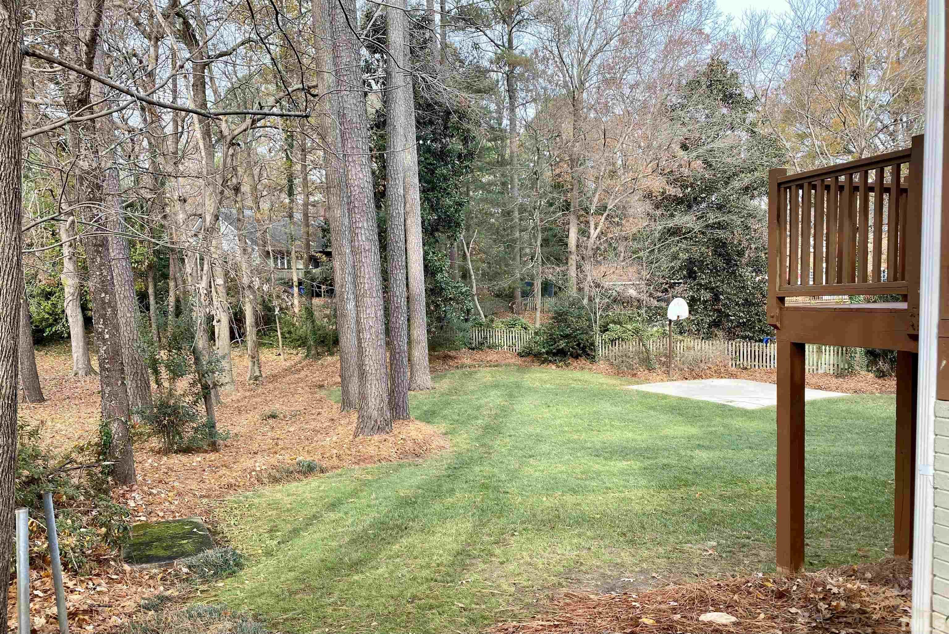 1104 Deboy Street Raleigh, NC 27606 - Photo 2 of 38 a view of backyard with tree