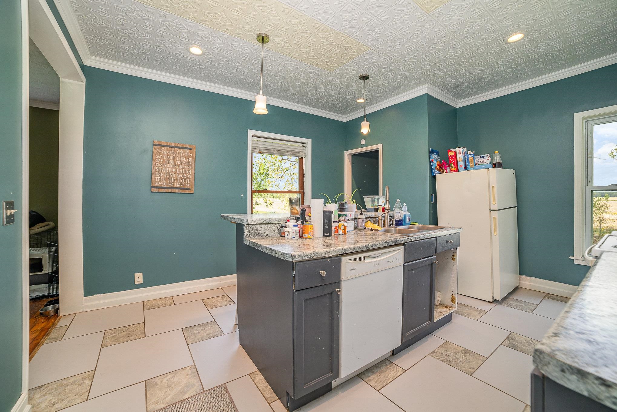 6345 East Rosebush Road Rosebush, MI 48878 - Photo 11 of 25