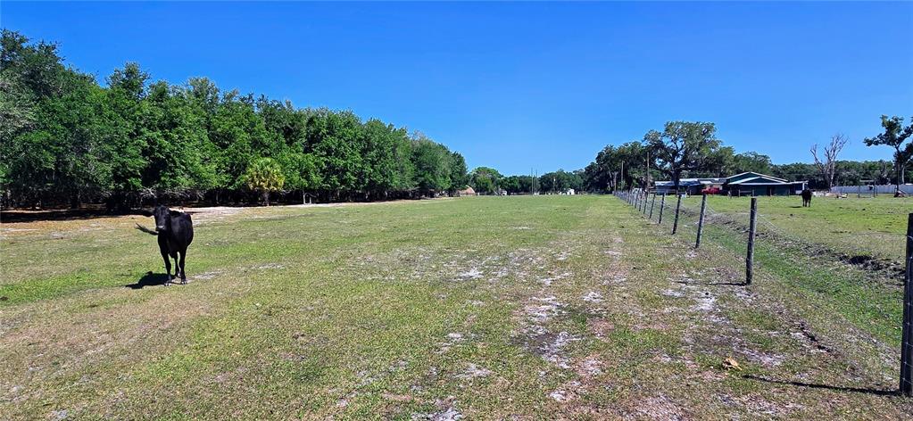 0 Connell Road Plant City, FL 33567 - Photo 25 of 29 Gallery Image 25