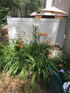 84 Shellback Way, Unit M Mashpee, MA 02649 - Photo 6 of 23 IMG_9086