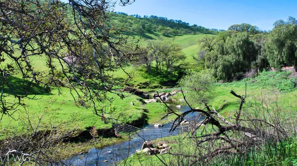 $5,643,000 | 18615 Marsh Creek Road, Brentwood, CA 94513