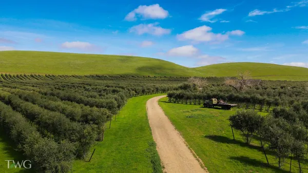 $5,643,000 | 18615 Marsh Creek Road, Brentwood, CA 94513