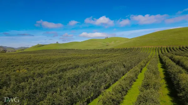 $5,643,000 | 18615 Marsh Creek Road, Brentwood, CA 94513