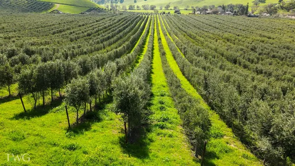 $5,643,000 | 18615 Marsh Creek Road, Brentwood, CA 94513