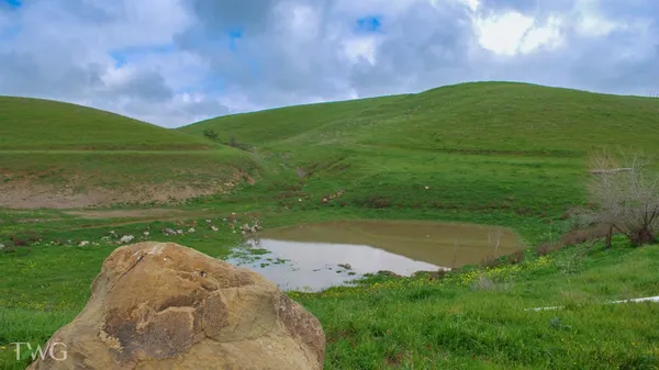 $5,643,000 | 18615 Marsh Creek Road, Brentwood, CA 94513