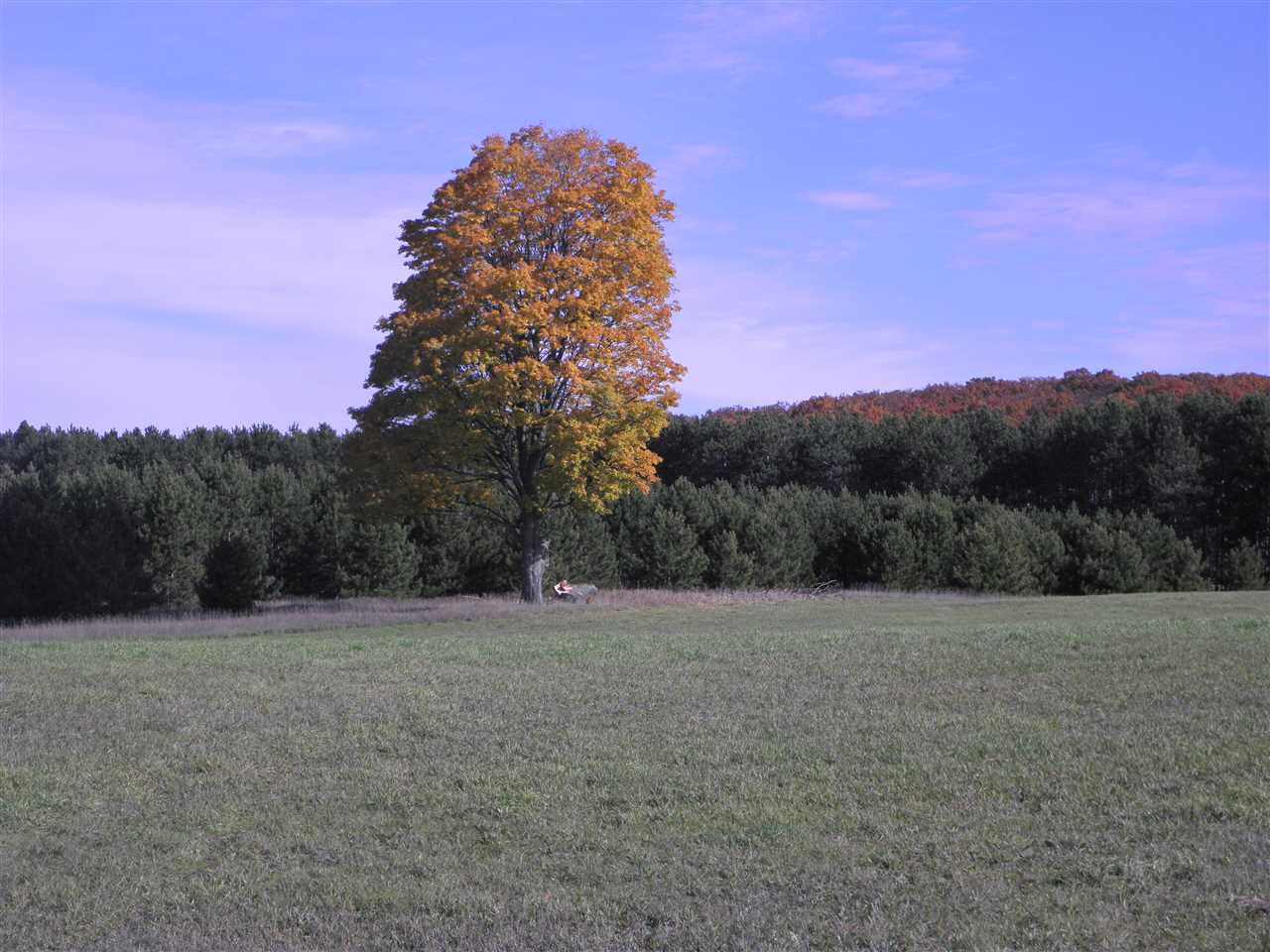10932 Summit City Road Kingsley, MI 49649 - Photo 27 of 29 1824705-26.JPG