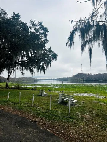 a view of a backyard with plants