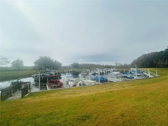 a view of a lake with a city