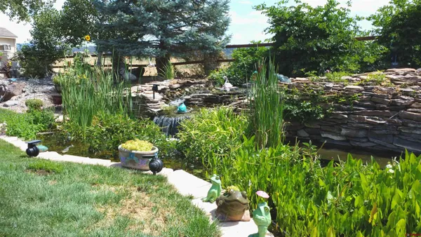 a view of a backyard of the house