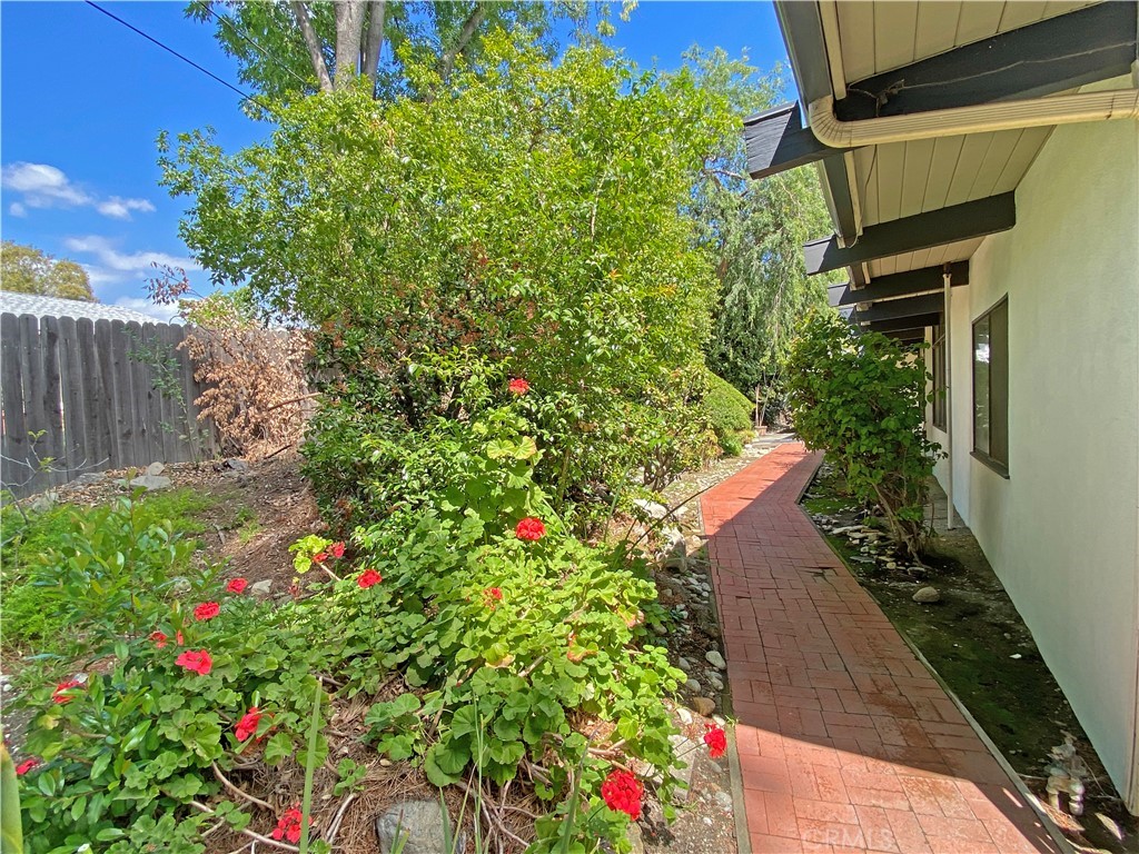 1543 Bates Place Claremont, CA 91711 - Photo 40 of 46 a plant that is in front of flowers