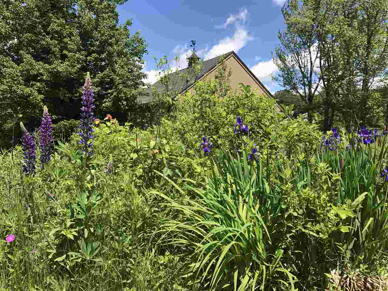 260 Mountain Road Lempster, NH 03605 - Photo 18 of 19 Gallery Image 18