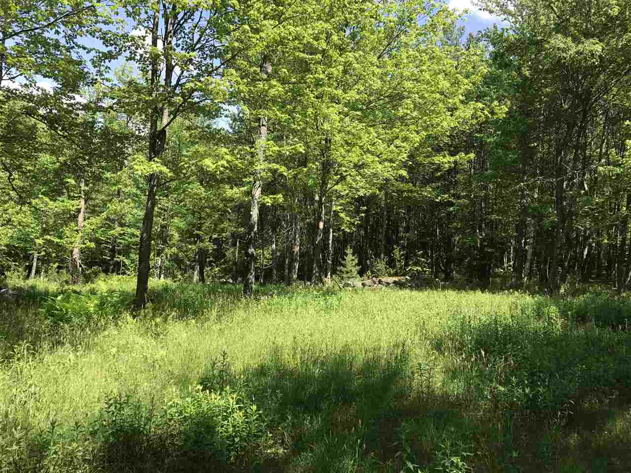 260 Mountain Road Lempster, NH 03605 - Photo 6 of 19 Gallery Image 6