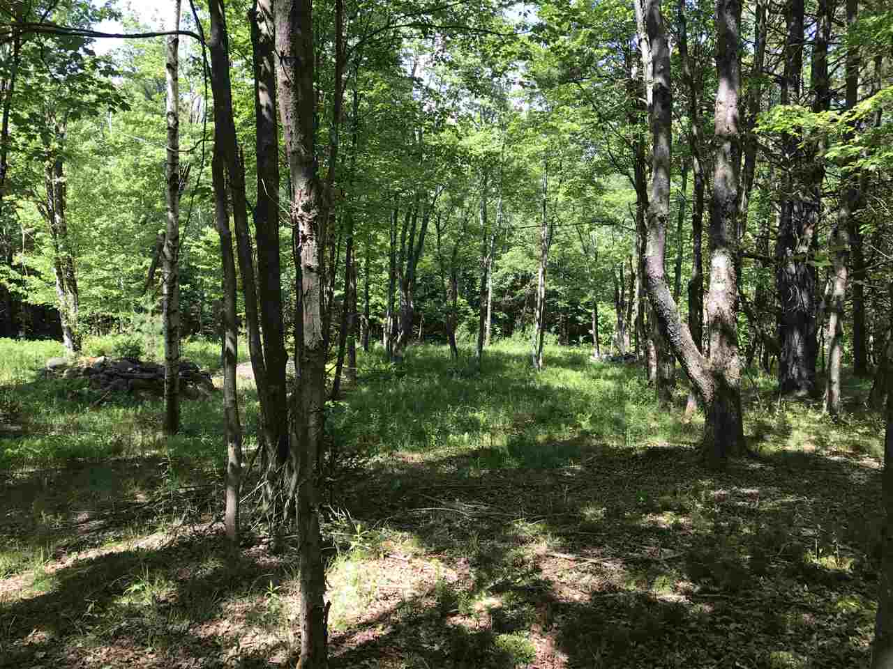 260 Mountain Road Lempster, NH 03605 - Photo 7 of 19 Gallery Image 7