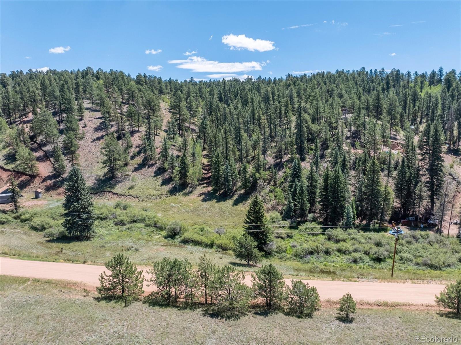 1676 Pathfinder Road Florissant, CO 80816 - Photo 10 of 32 Gallery Image 10