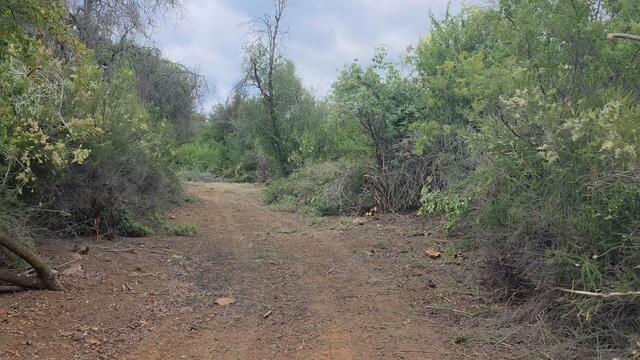 46967 Blue Ridge Drive Springville, CA 93265 - Photo 24 of 63