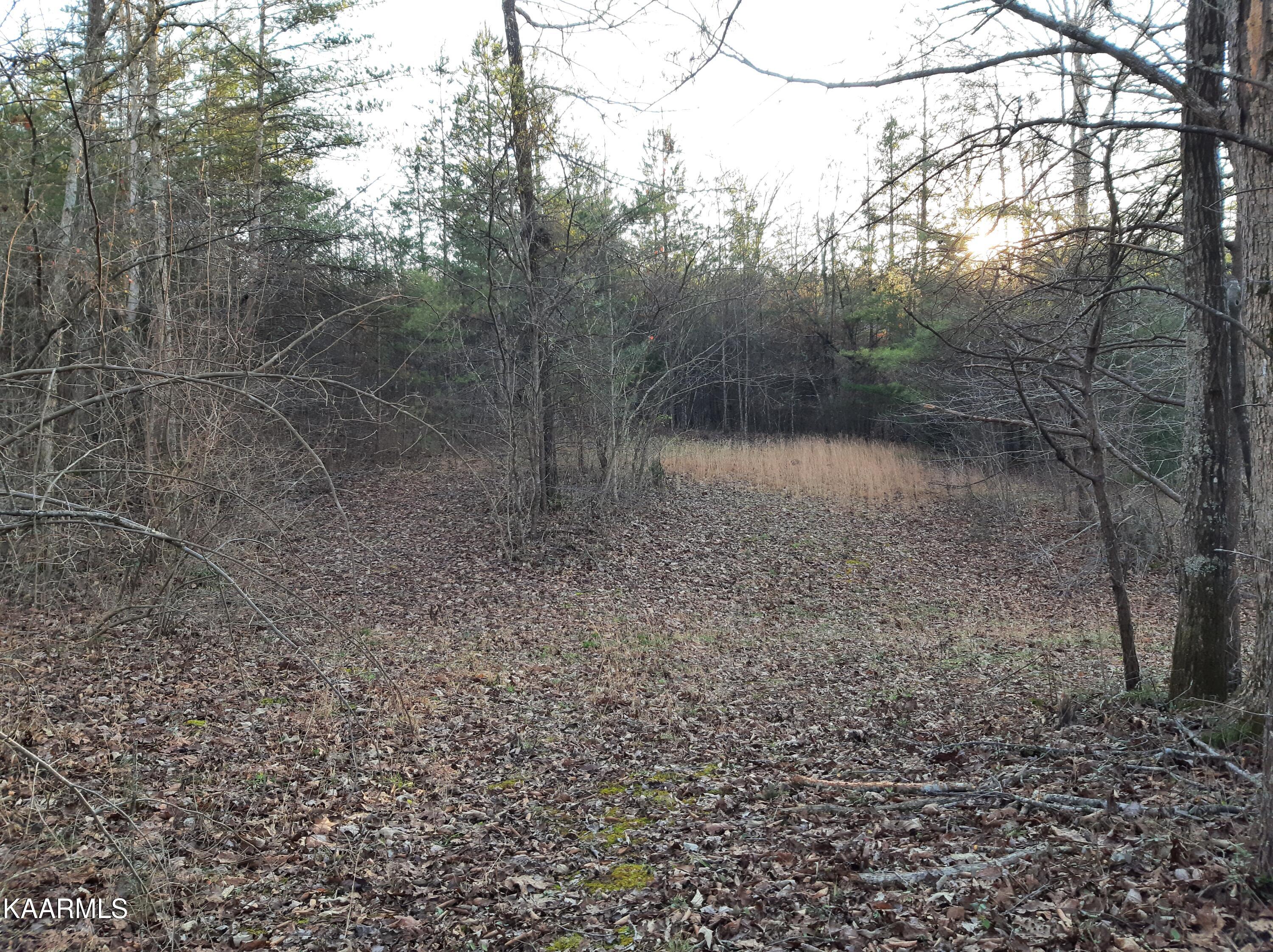 Stonehenge Road Tellico Plains, TN 37385 - Photo 1 of 7 Good bldg site
