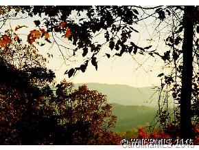145 Laurel Haven Road Fairview, NC 28730 - Photo 2 of 10 Gallery Image 2